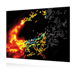 iXon Ultra 897 EMCCD Camera – Image 2